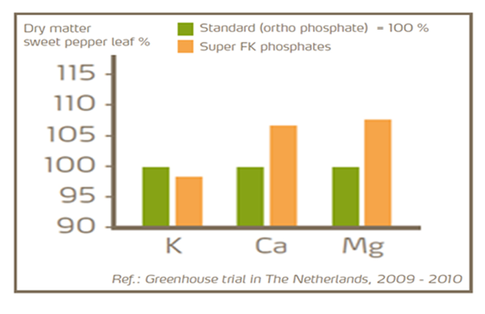 Øget optagelse af mg og ca.jpg