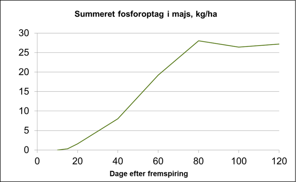 Fosfor optag