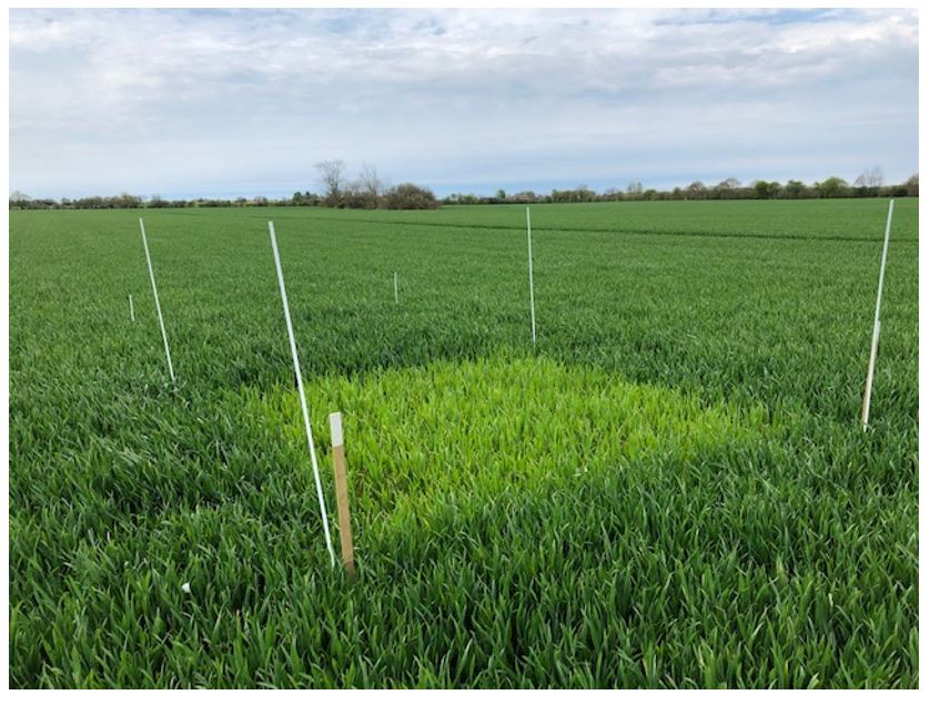 Torreby 1 Nulparcel 2.JPG