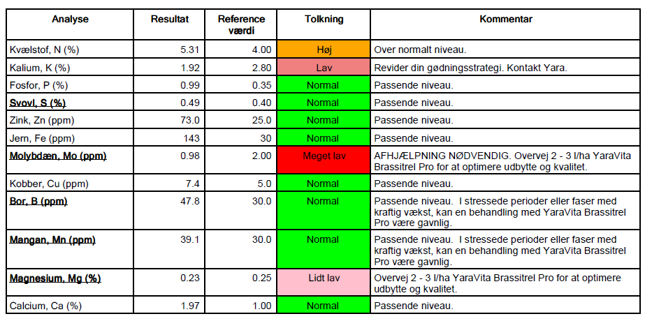 +1 ton Raps, Standardstrategi Jens Anders, Kolding
