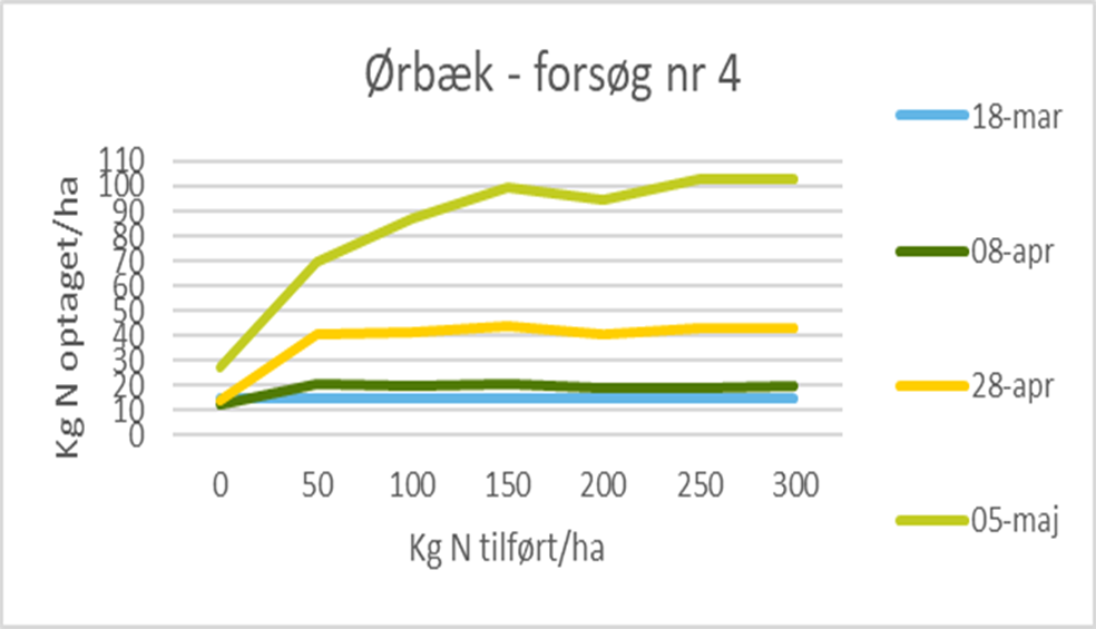 &Oslash;rb&aelig;k