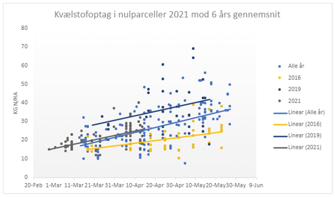 N-optag alle år (2021).JPG