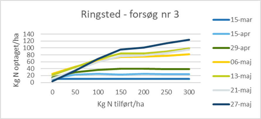 Ringsted