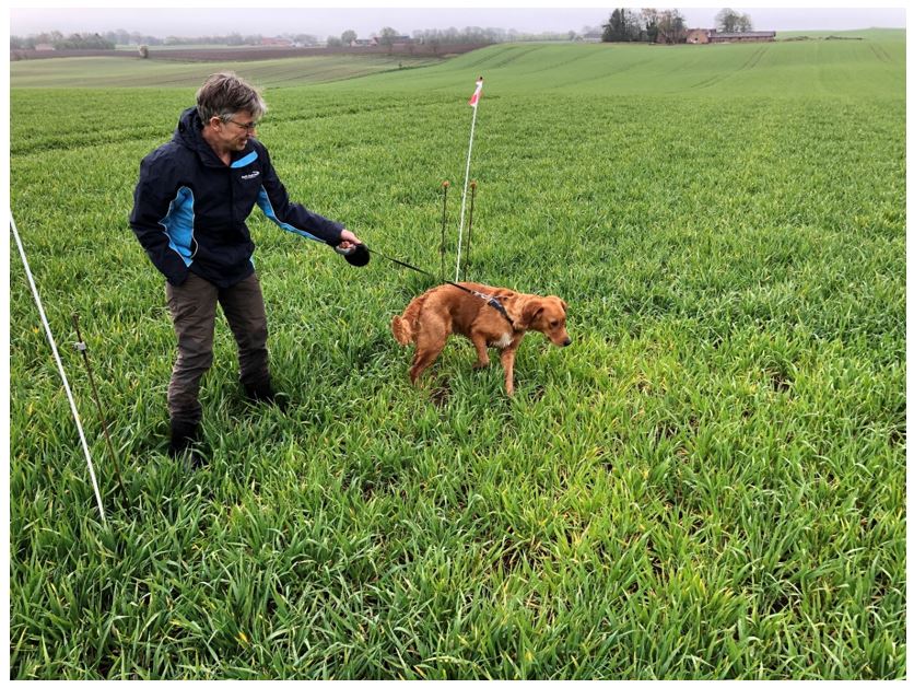 Skanderborg Nulparcel vinterbyg.JPG