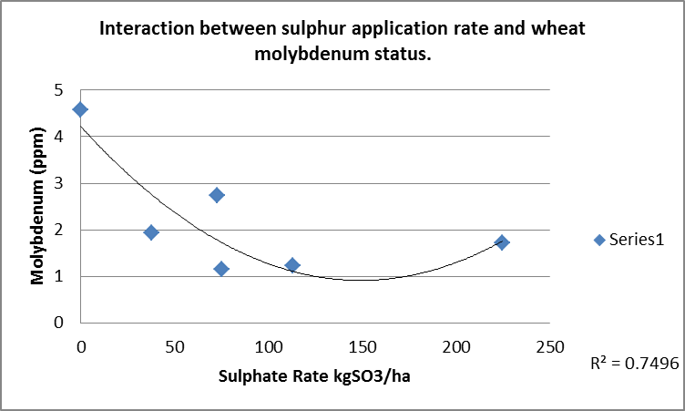 Molybdæn i vinterraps