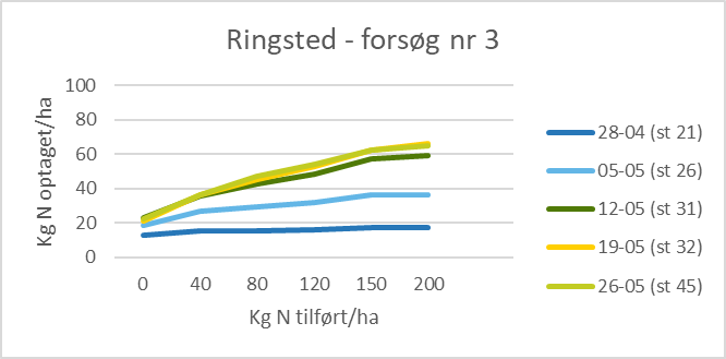 ringsted