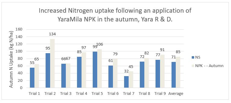 Figur 2: Engelske forsøg udført af Yara, viser et højere kvælstofoptag i efteråret, som er 20% større når der tilføres en NPK-gødning (grå søjler) fremfor en NS-gødning (blå søjler).