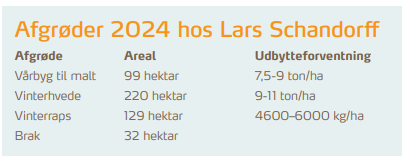 tekst