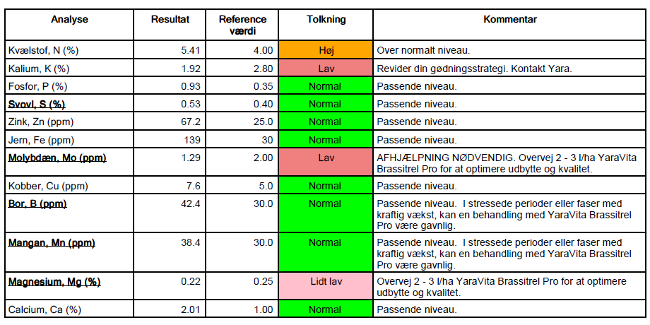 +1 ton Raps, Standardstrategi Jens Anders, Kolding