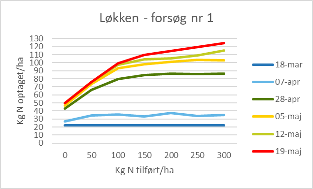 l&oslash;kken