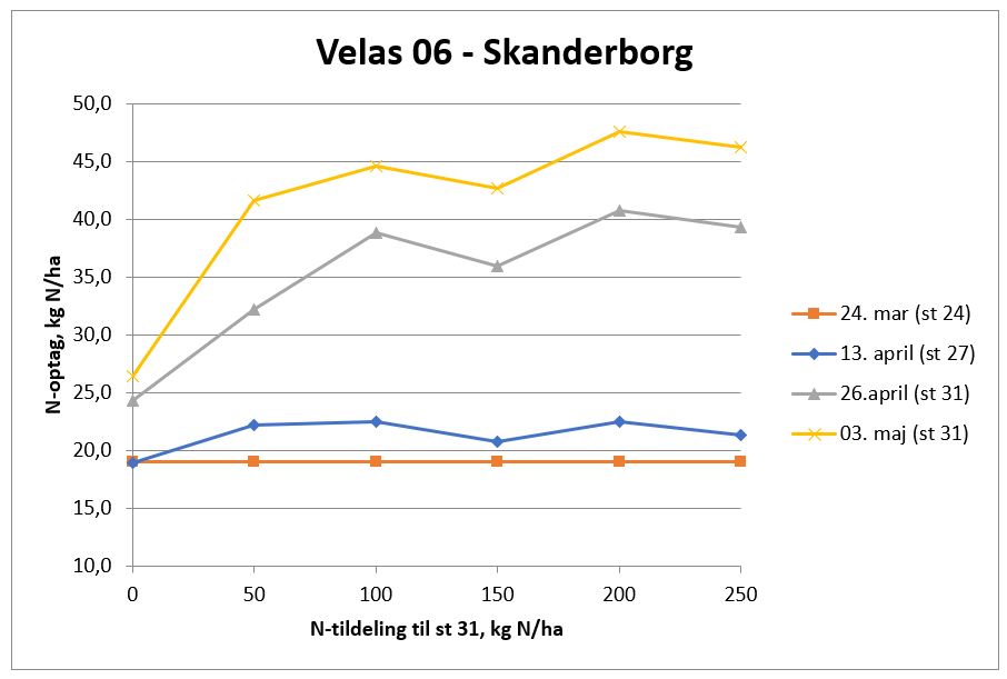 Skanderborg velas 06 N-optag.JPG