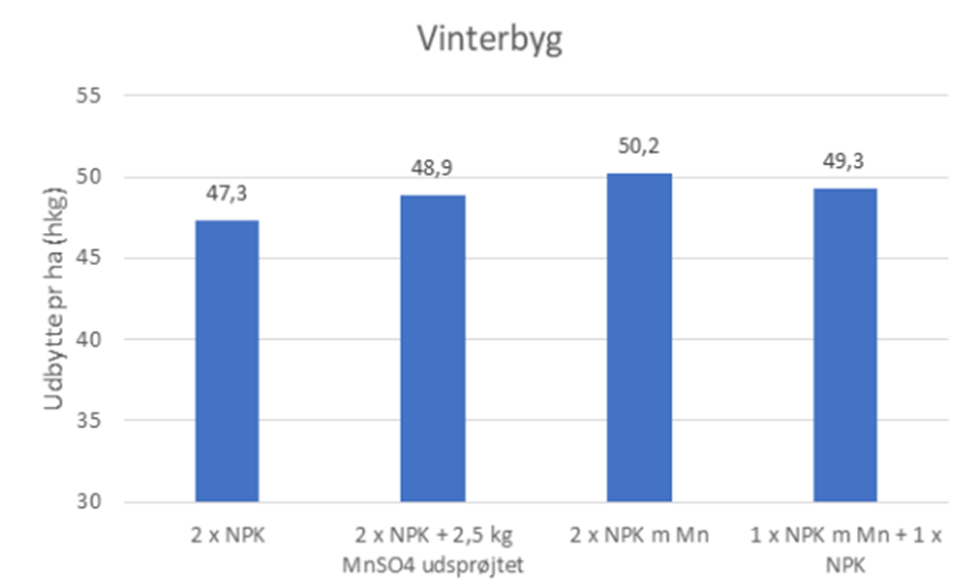 Vinterbyg