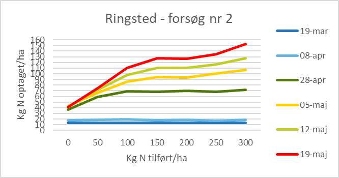 ringsted