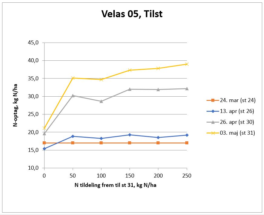 Tilst Velas 05 N-optag.JPG