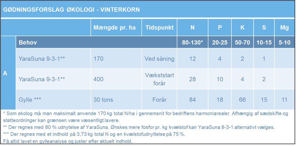 Vinterkorn