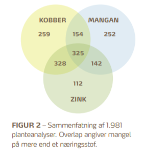 Mirkon&aelig;ring fig2.PNG