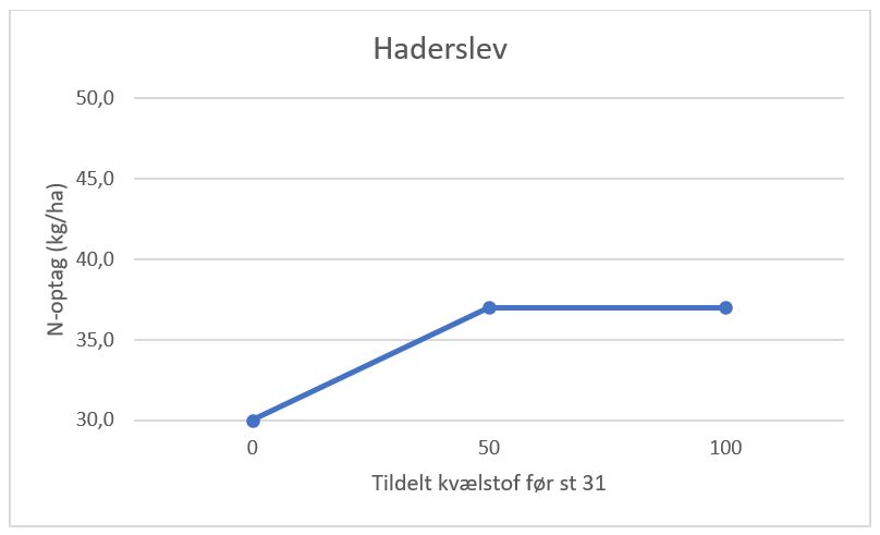 Haderslev før st 31.JPG