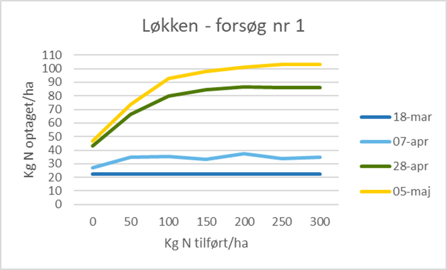 L&oslash;kken