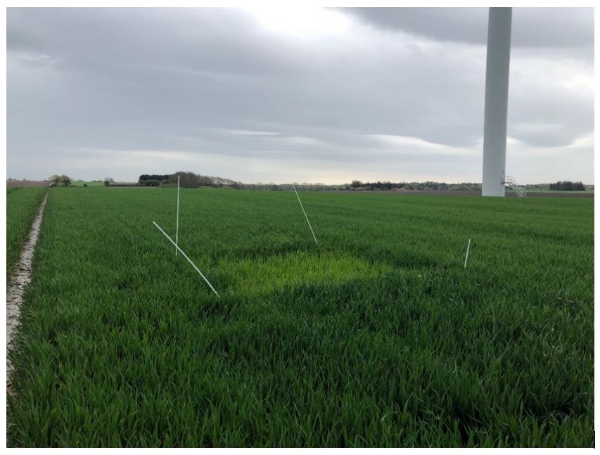 Næstved-Karrebæk 1 Nulparcel 2.JPG