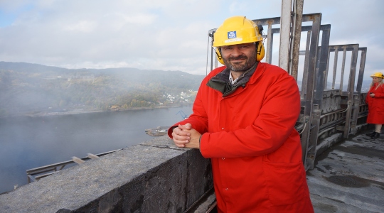 Grøn gødning artikel 