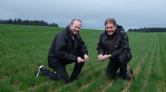 Mikronæringsstoffer