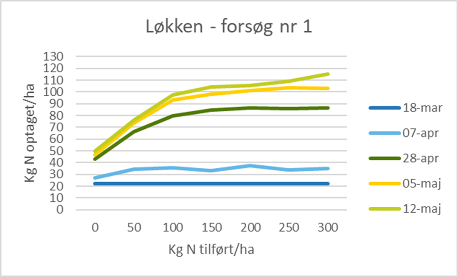 l&oslash;kken