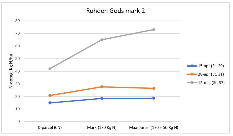 Rohden billede og graf